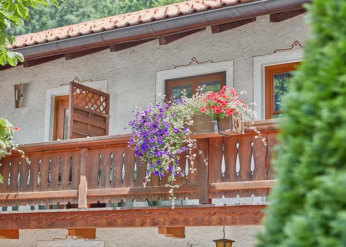 Отель Garni Alte Saege Inkl Chiemgaukarte 3*
