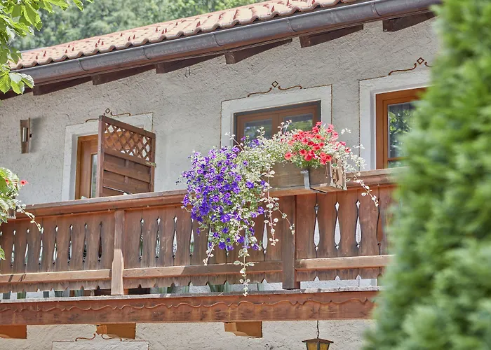 Hotel Hotel Garni Alte Saege Ruhpolding Inkl Chiemgaukarte