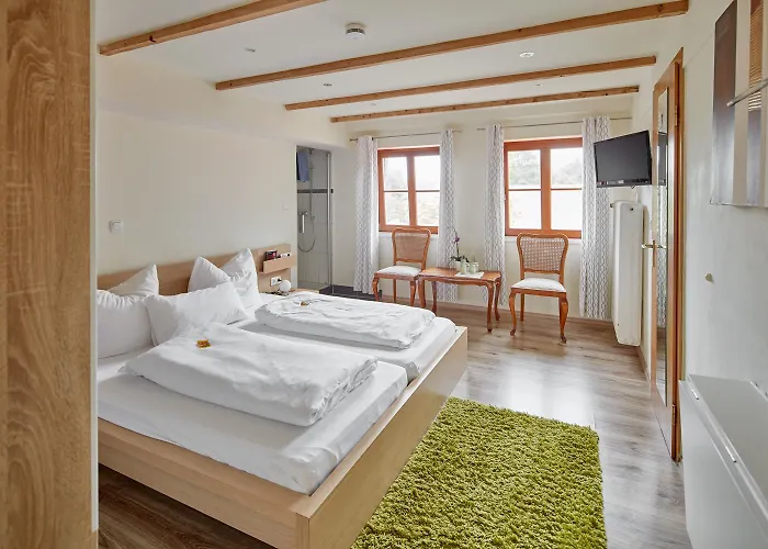 Hotel Hotel Garni Alte Saege Ruhpolding Inkl Chiemgaukarte